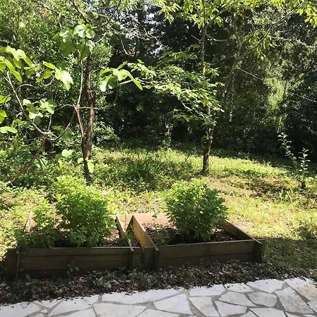 2* A - Jardin Et Animaux Admis - Fr-1-738-43 Вилла