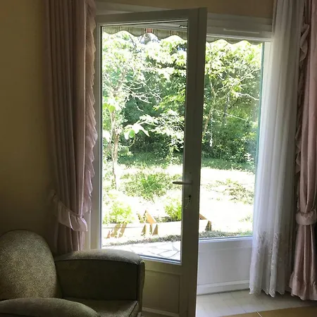 Villa 2* A - Jardin Et Animaux Admis - Fr-1-738-43