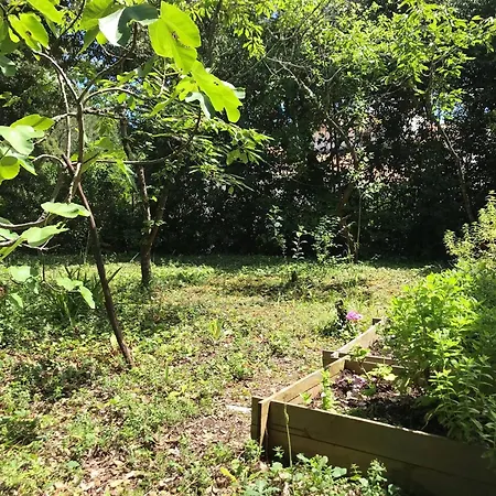 Вилла 2* A - Jardin Et Animaux Admis - Fr-1-738-43 *